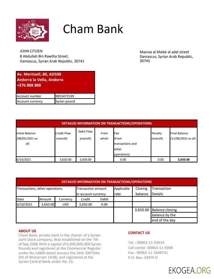 Syrie Cham Bank excel pdf